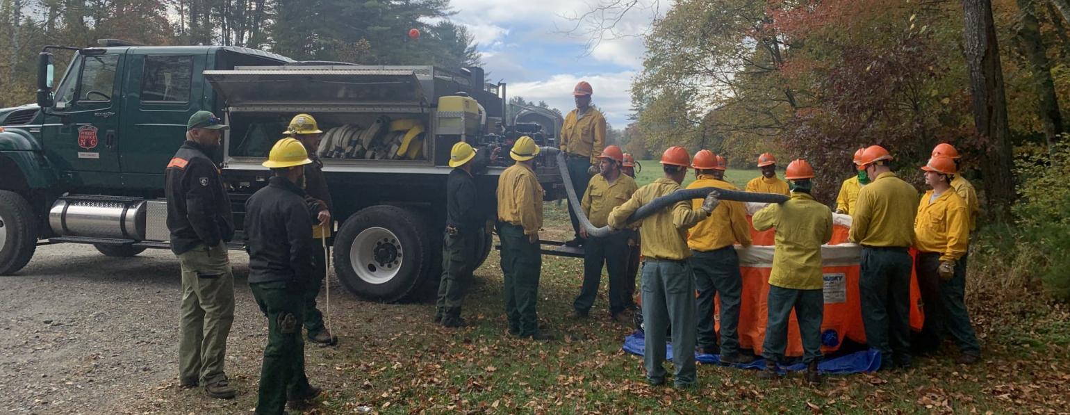 Young Offenders Forest Conservation Program (BRIDGE) | NC DAC